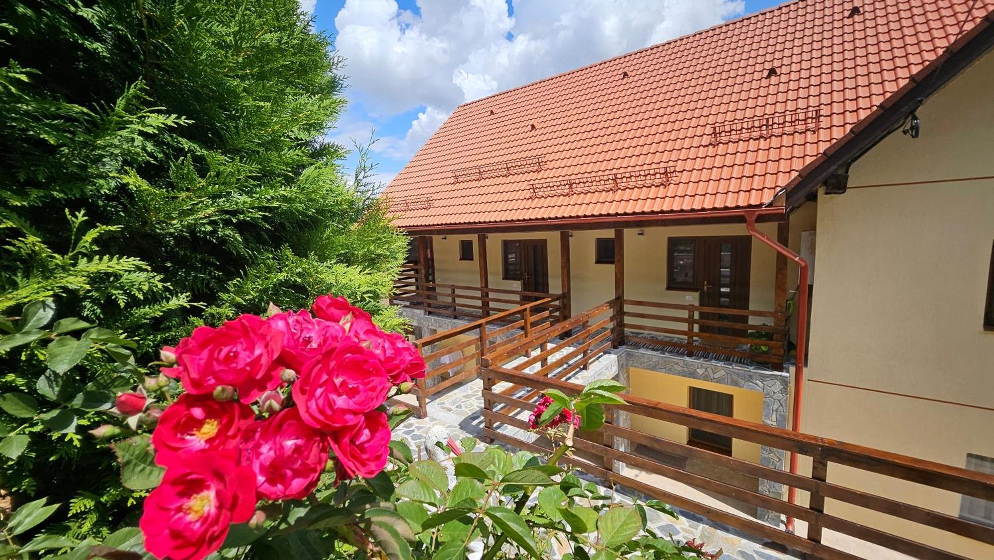 Matei Residence Брашов Экстерьер фото