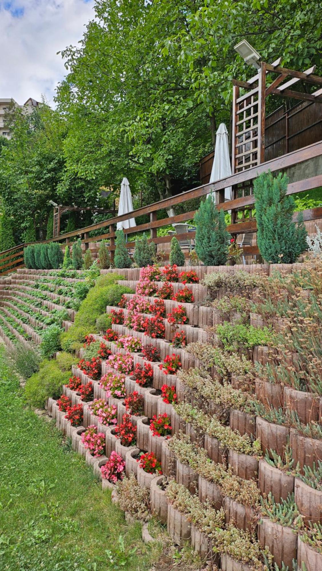 Matei Residence Брашов Экстерьер фото