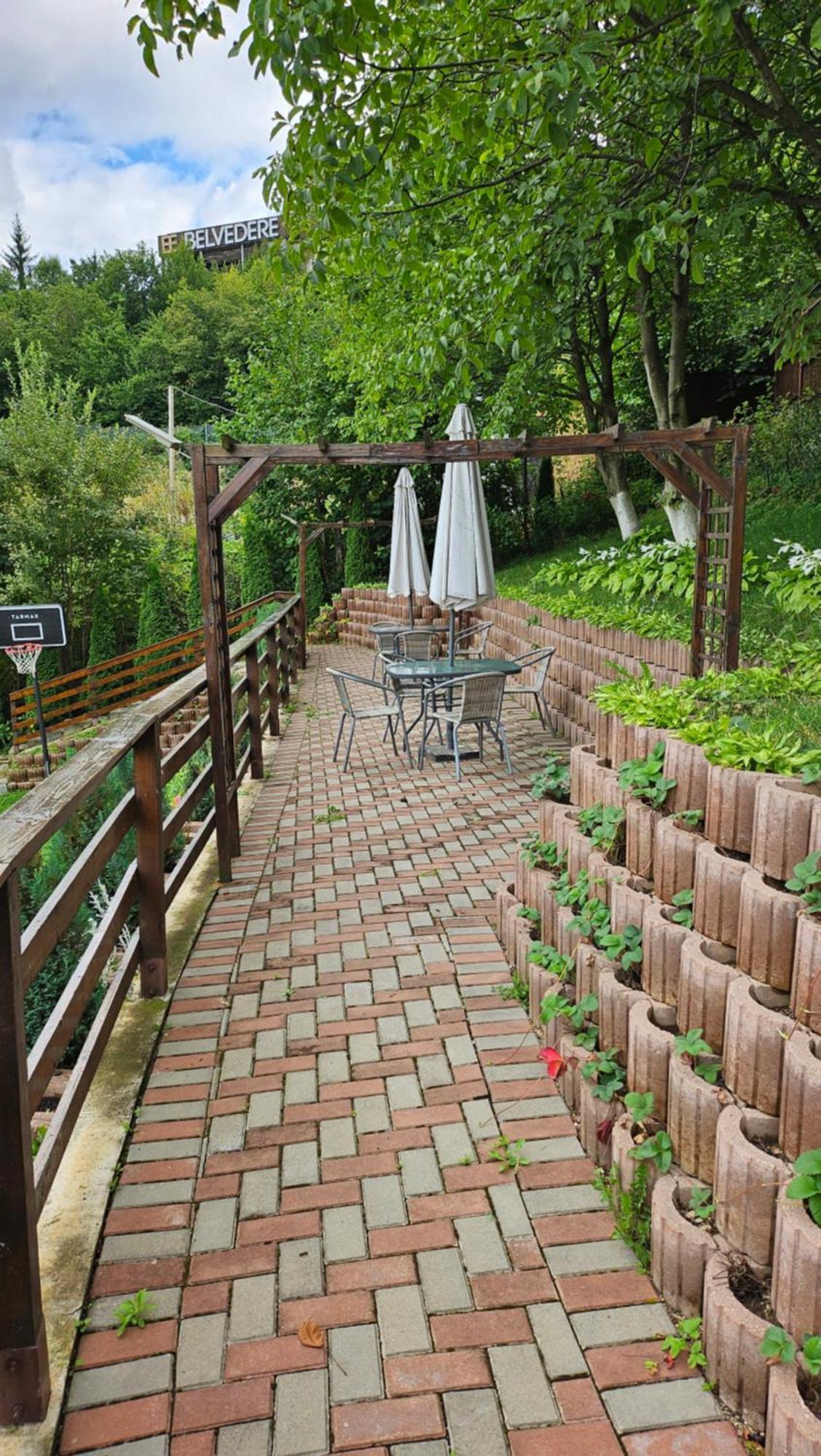 Matei Residence Брашов Экстерьер фото
